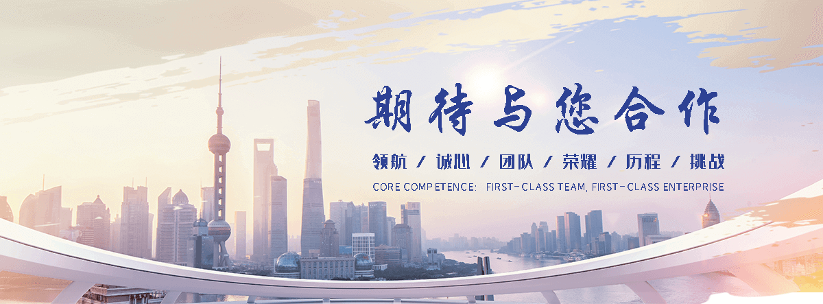 狐域咨询(广河分公司)